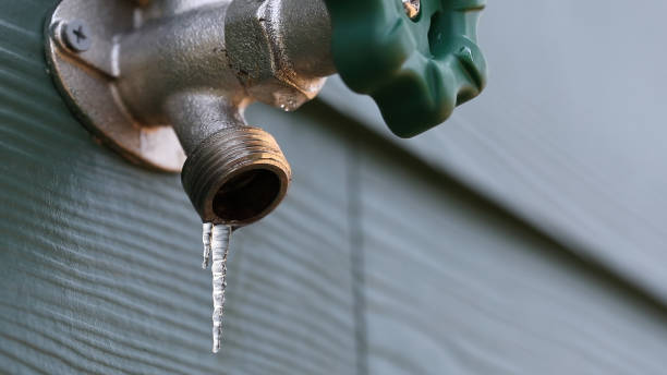 Best Shower Repair Services  in South Lockport, NY
